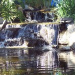 100_1059