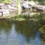 100_1318