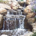100_1327