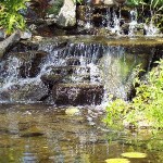 100_2561