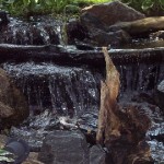 ARTISTIC EXPRESSIONS
