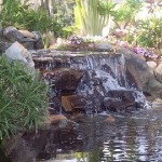 BOG FILTER WATERFALL