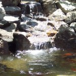 BOULDER STREAM REBUILD