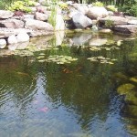 FISH CAMP