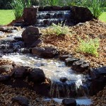 FOCAL POINT - 2