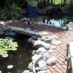 LAND~BRIDGE