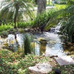 NATURAL SETTING