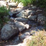 OFF THE BEATEN PATH