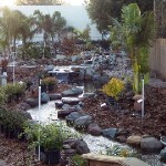 PLANT & BRICK YARD