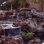 PLANT YARD LAGOON UPPER FALL