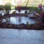 REMOVE CONCRETE - INSERT A PIECE OF PARADISE