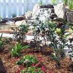 THE STEWERT'S POND, WATERFALL & LANDSCAPE