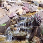 UP CLOSE, PATIO POND