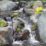 UP CLOSE & WATERFALL