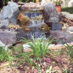 UPPER FALL OF PATIO POND