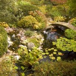 Water Gardens (25)