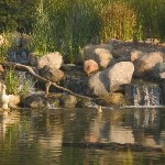 Water Gardens (39)