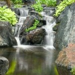 Water Gardens (4)