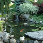 Water Gardens (6)