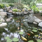 Water Gardens (7)