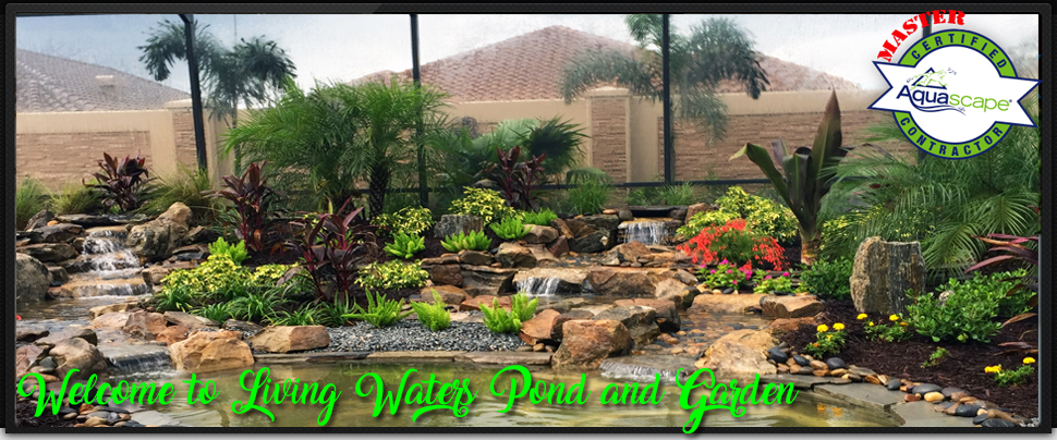 Welcome to living waters pond and garden