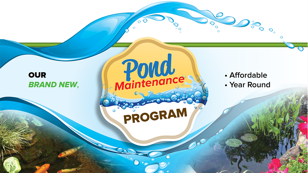 pond-maintenance-program-small_1_orig